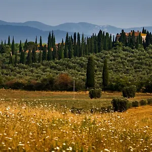 Tenuta Di Poggio Cavallo Istia dʼOmbrone